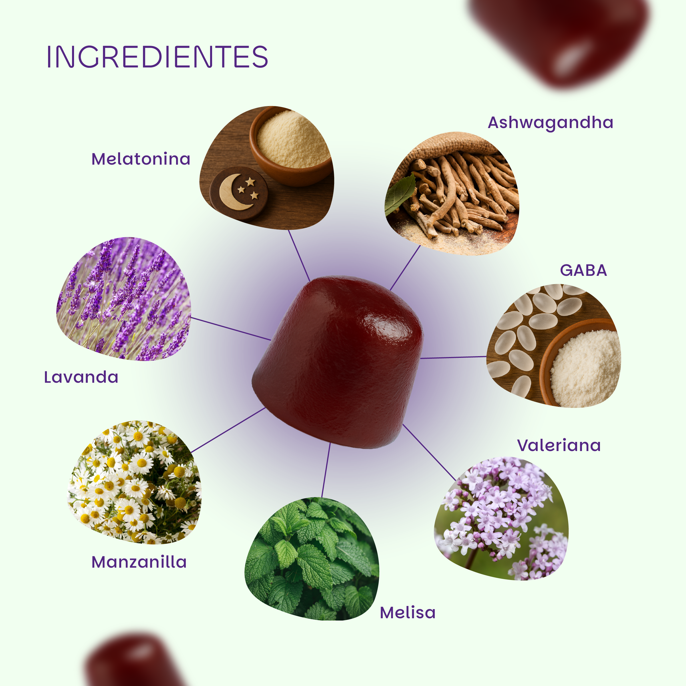 Sleep melatonina 1,9mg