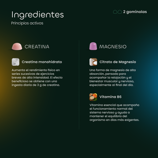Protocolo Active+