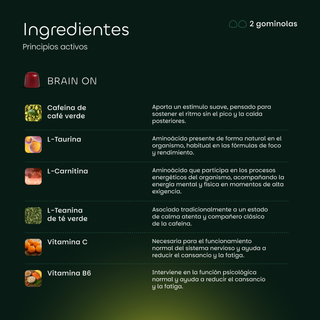 Protocolo Active+