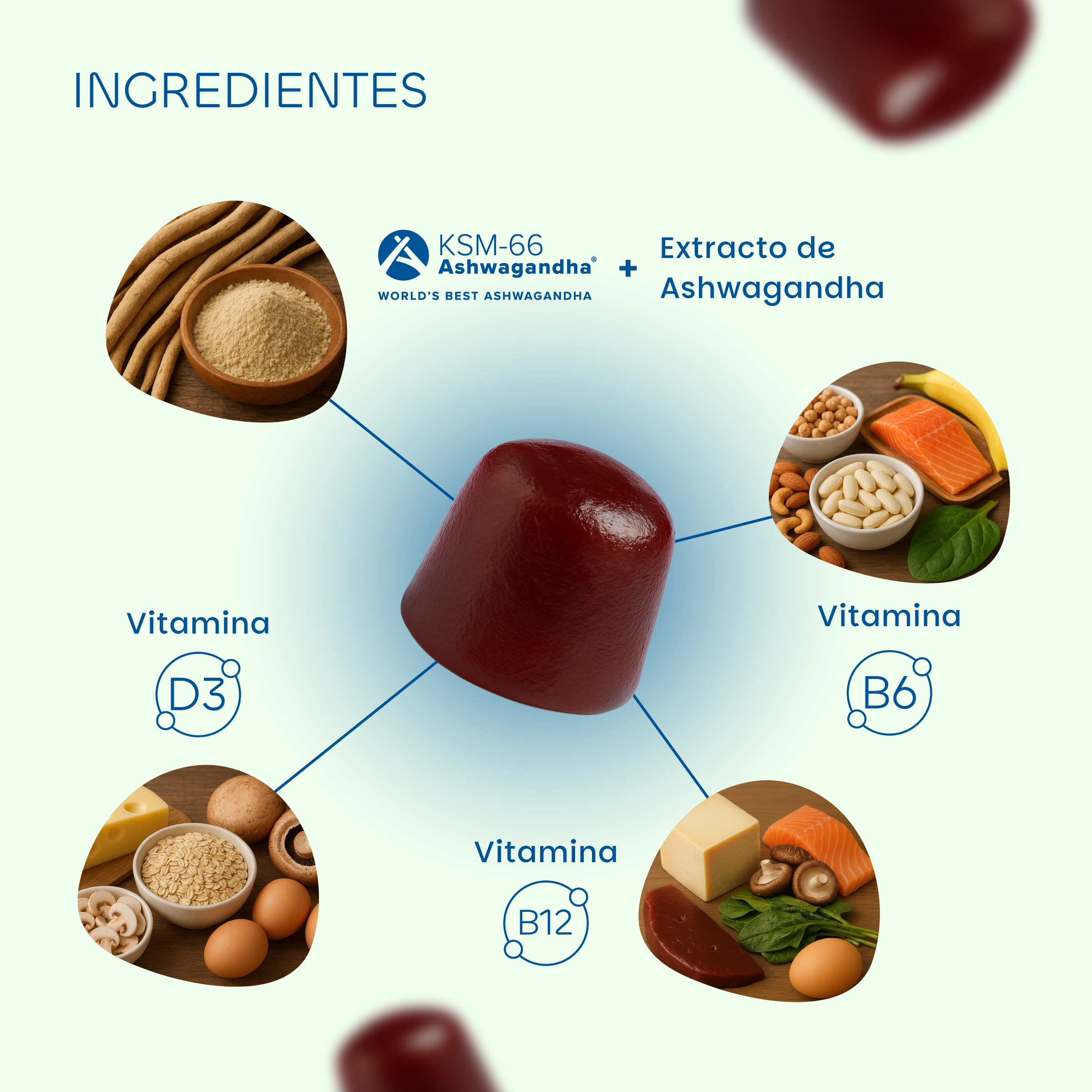 Ashwagandha KSM-66®