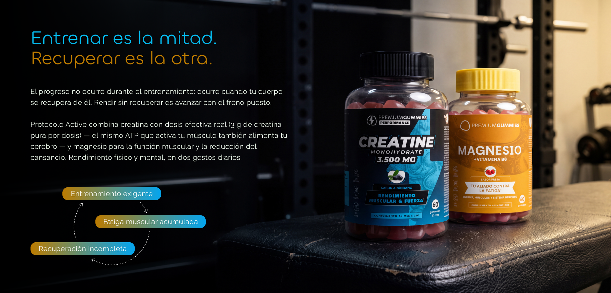 Protocolo Active